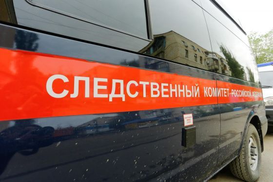 Глава СК РФ потребовал возбудить уголовное дело на девочек из Волгограда