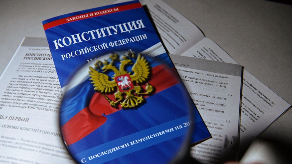 В Совете Федерации назвали неконституционными призывы к репрессиям в России