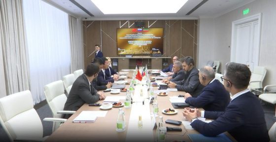Раис Татарстана встретился с делегацией Китайской Народной Республики
