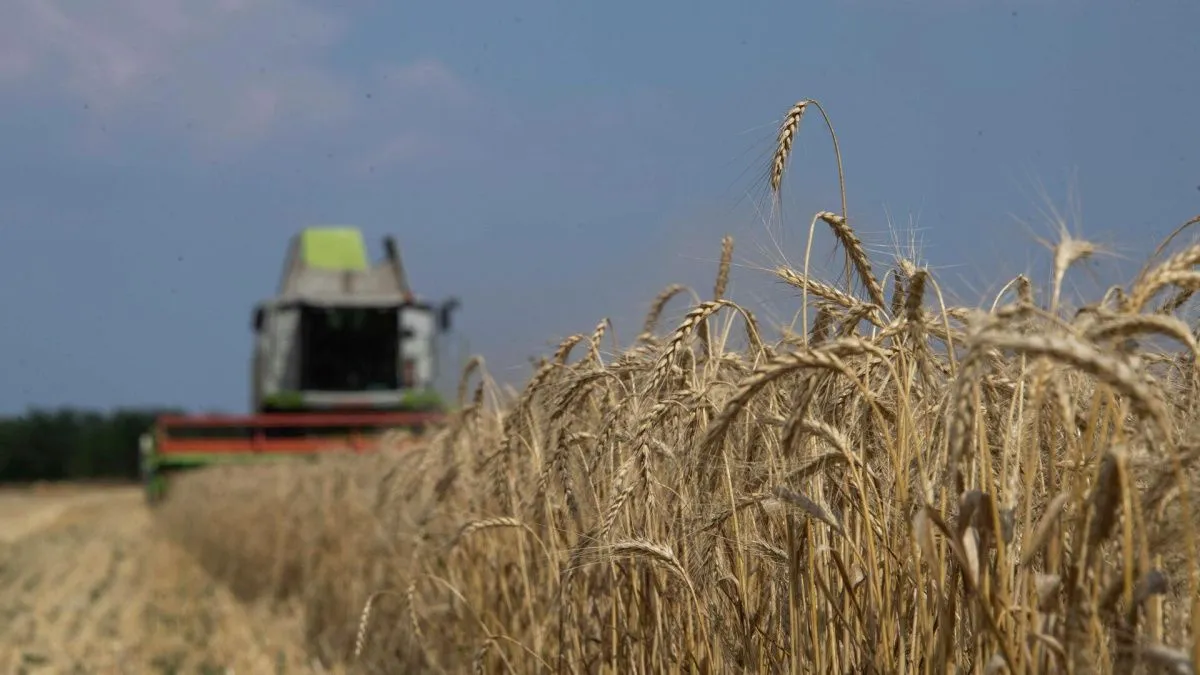 Новый регион России получил 55 млрд рублей на сельское хозяйство