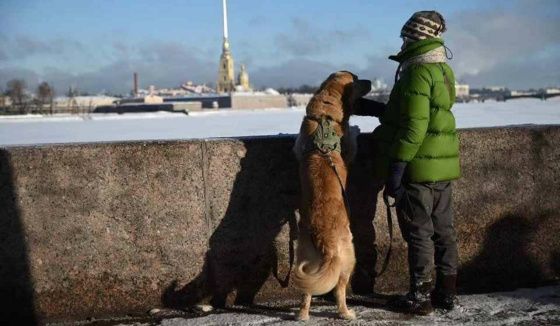 Скандинавский антициклон принесет похолодание в Санкт-Петербург