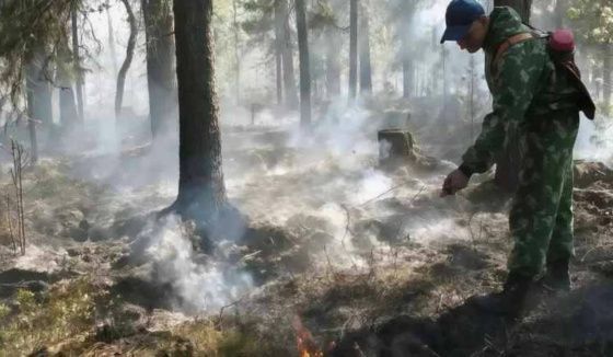 Экстремальная жара ожидается в Волгограде и области