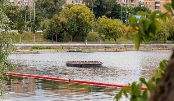 В Москве создали плавучие модули для борьбы с сине-зелёными водорослями