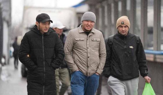 В Петербурге и Ленобласти с 2026 года подорожает патент для мигрантов