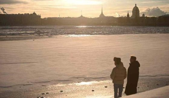 Бобр с Черной речки стал главным героем недели в Петербурге