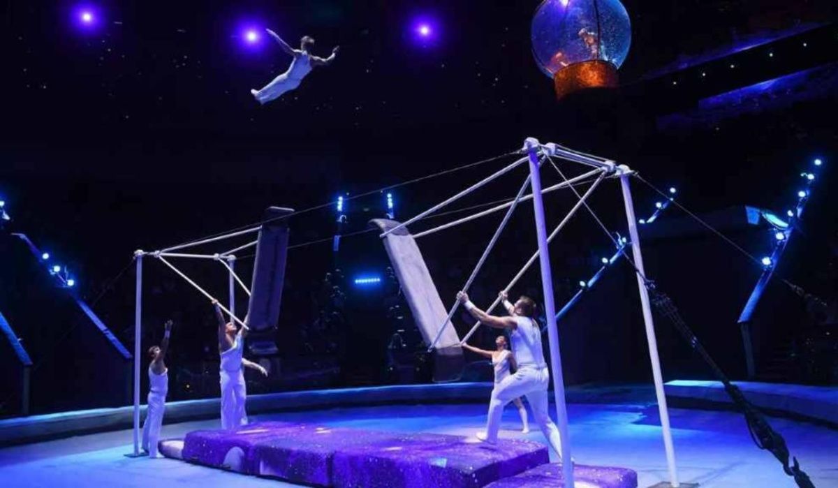 Запашный попросил Путина включить цирки в программу «Пушкинская карта»