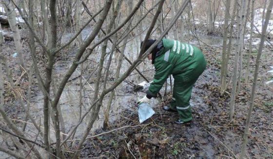Воронежскую УК оштрафуют на несколько миллионов рублей за незаконный слив жидких отходов