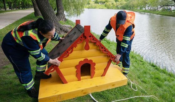 В Москве установят более 200 домиков для уток на городских водоемах