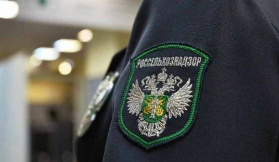 Кишечная палочка обнаружена в молочной продукции омского предприятия — Россельхознадзор