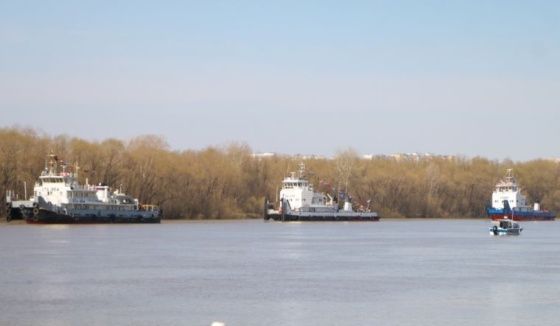 В Омском районе прокуратура добилась возврата госземли на берегу Иртыша