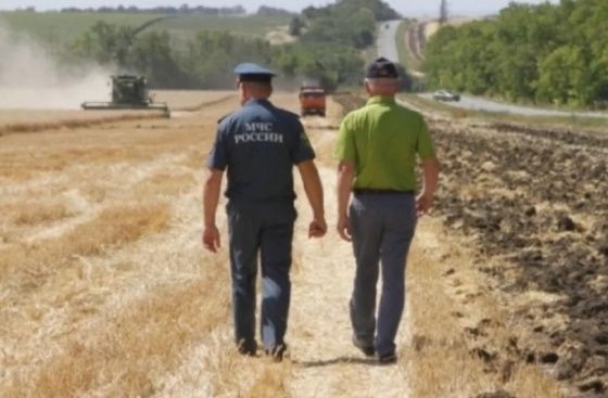 В Ростовской области из-за пожаров пострадали поля с пшеницей