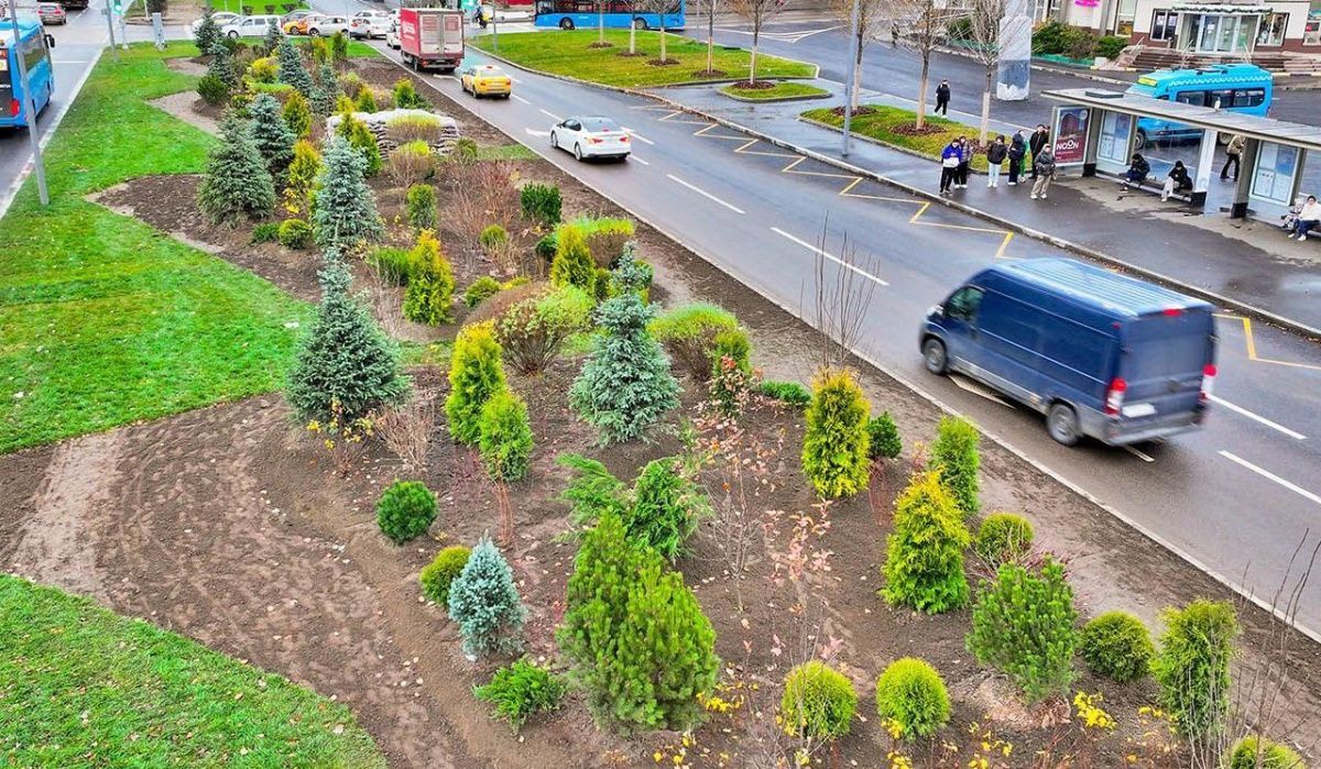В Москве до конца декабря высадят 10 тысяч крупных деревьев