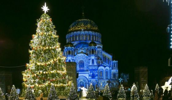 Новогодняя ель Санкт-Петербурга признана лучшей в России