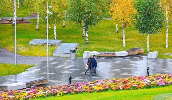Осень вступает в свои права: погода на ближайшие дни в Москве