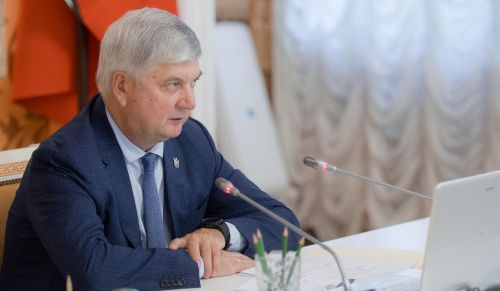 Губернатор Воронежской области распорядился установить пандусы возле каждого дома 