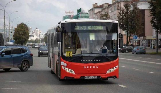В Перми изменится схема движения автобусов на улице Борчанинова