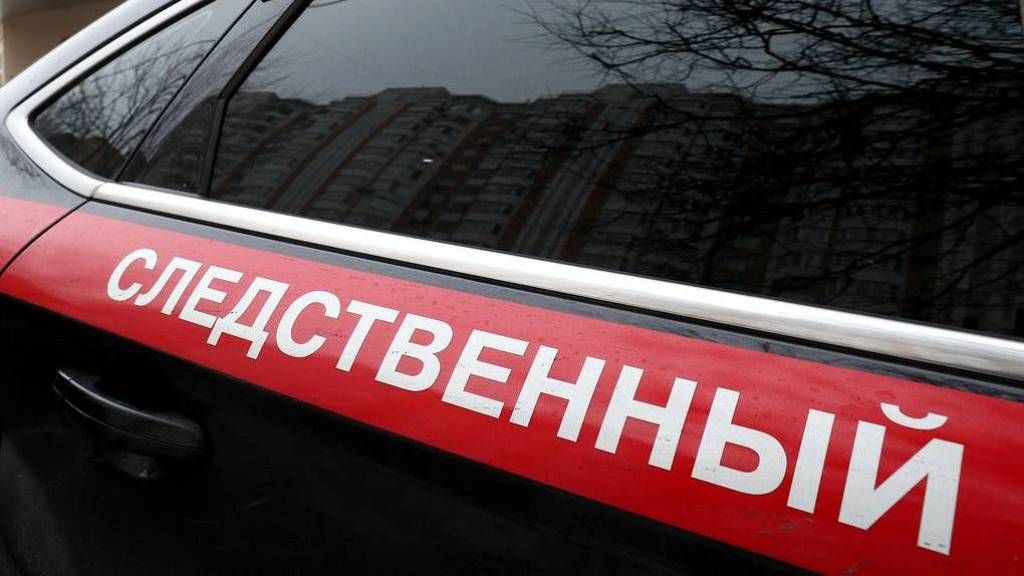 Двух российских студентов убило ударом электричества