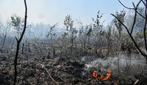 В Свердловской области потушили 16 пожаров
