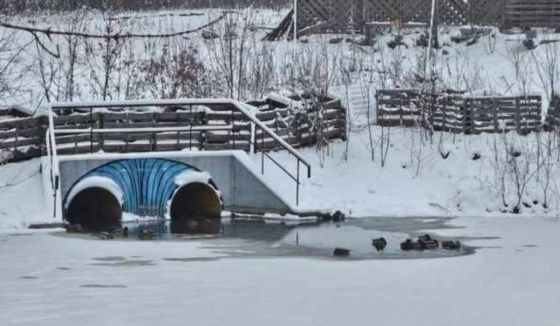 МЧС предупреждает жителей Свердловской области о сильных морозах
