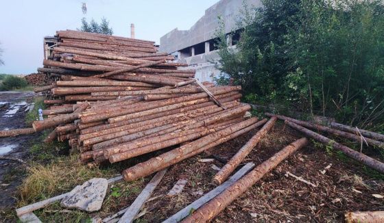 СК начал расследование гибели детей от падения бревен в Пермском крае