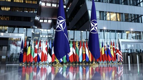 11 стран поддержали заявку Украины в НАТО