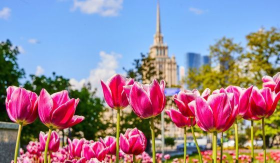 Мэр Москвы поздравил горожан с Праздником Весны и Труда