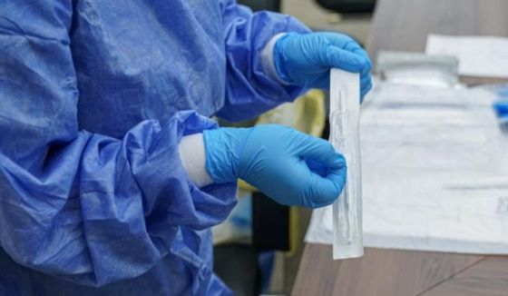 Власти Башкирии прокомментировали слухи о проведении ПЦР-тестов на чуму