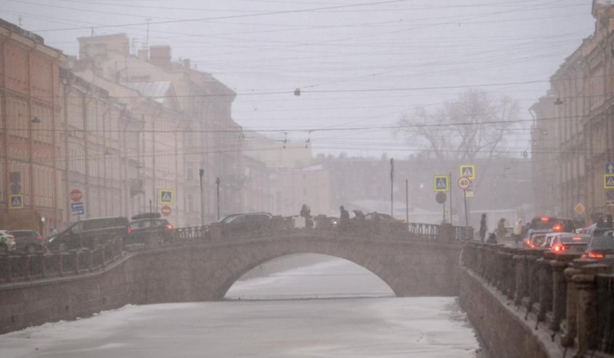 В Петербурге объявили желтый уровень опасности из-за непогоды