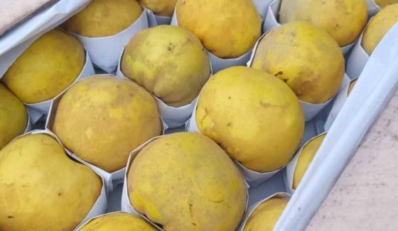 В Красноярском крае обнаружили опасное заболевание в китайских фруктах