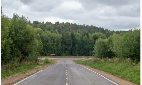 В Свердловской области ограничили посещение лесов