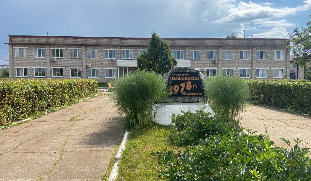 Чистая прибыль АО «Птицефабрика Чайковская» упала из-за модернизации в 2025 году