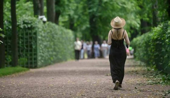Летний и Михайловский сады откроют для посетителей в начале мая после просушки