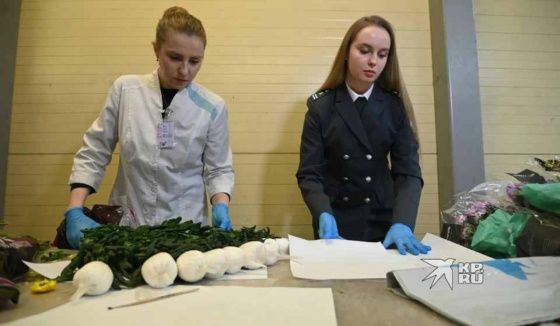 В Екатеринбург к 8 марта доставили 8 миллионов цветов