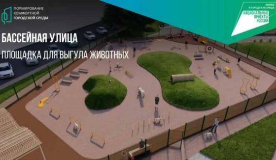Новую площадку для выгула собак возведут на улице Бассейной Петербурга