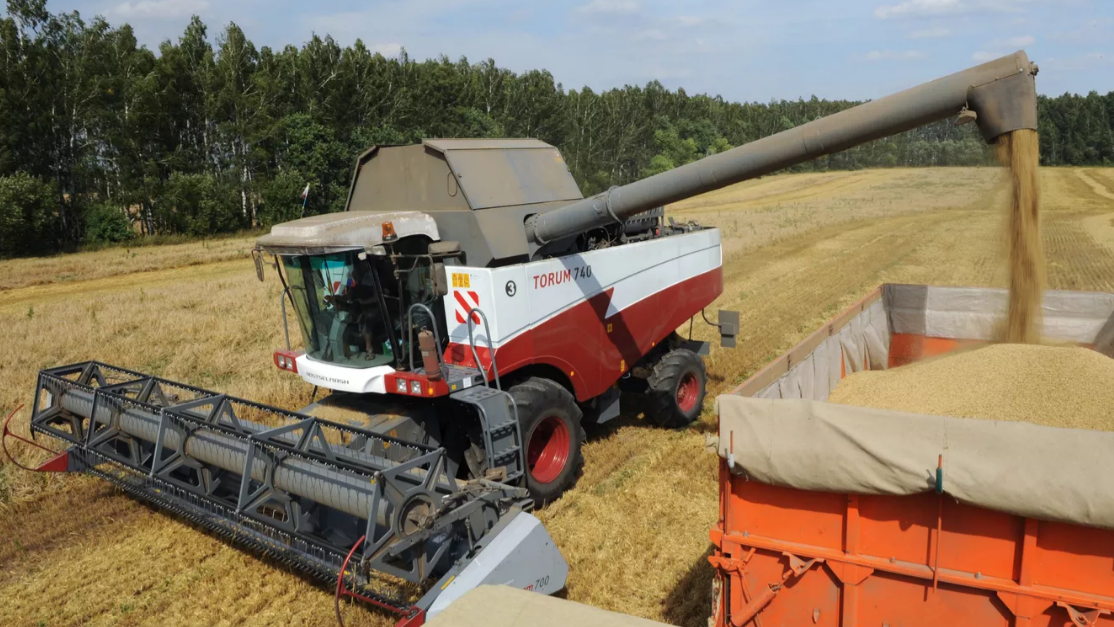 Сбор зерновых в Липецкой области превышает прошлогодние показатели