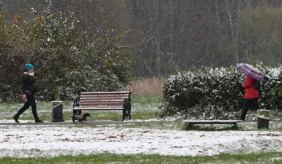 В Воронеже 24 апреля прогнозируют мокрый снег