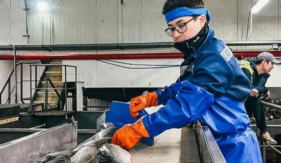 В Ленинградской области появилась новая праздничная дата