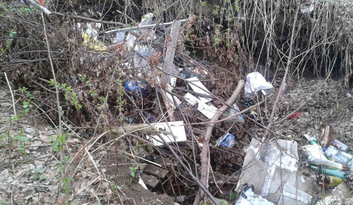 В водоохранной зоне на востоке Петербурга нашли стихийную свалку. Смольный бездействует