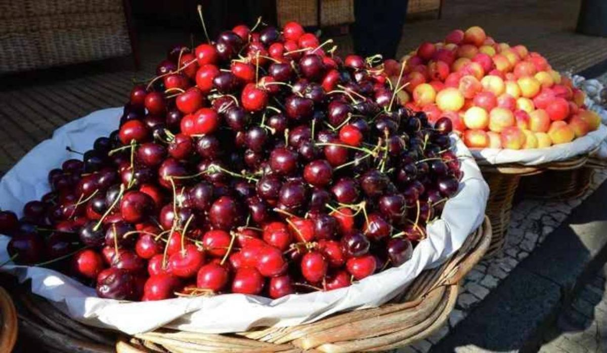 Врач объяснила, в каких случаях нельзя есть черешню