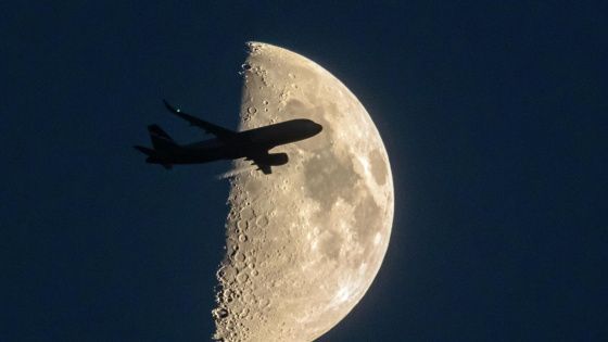 Петербург и ОАЭ стали главными направлениями для россиян на каникулах