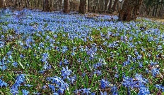 В Воронежской области ожидается потепление до +20 градусов