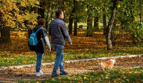 В Омске увеличили число мест, запрещённых для выгула собак