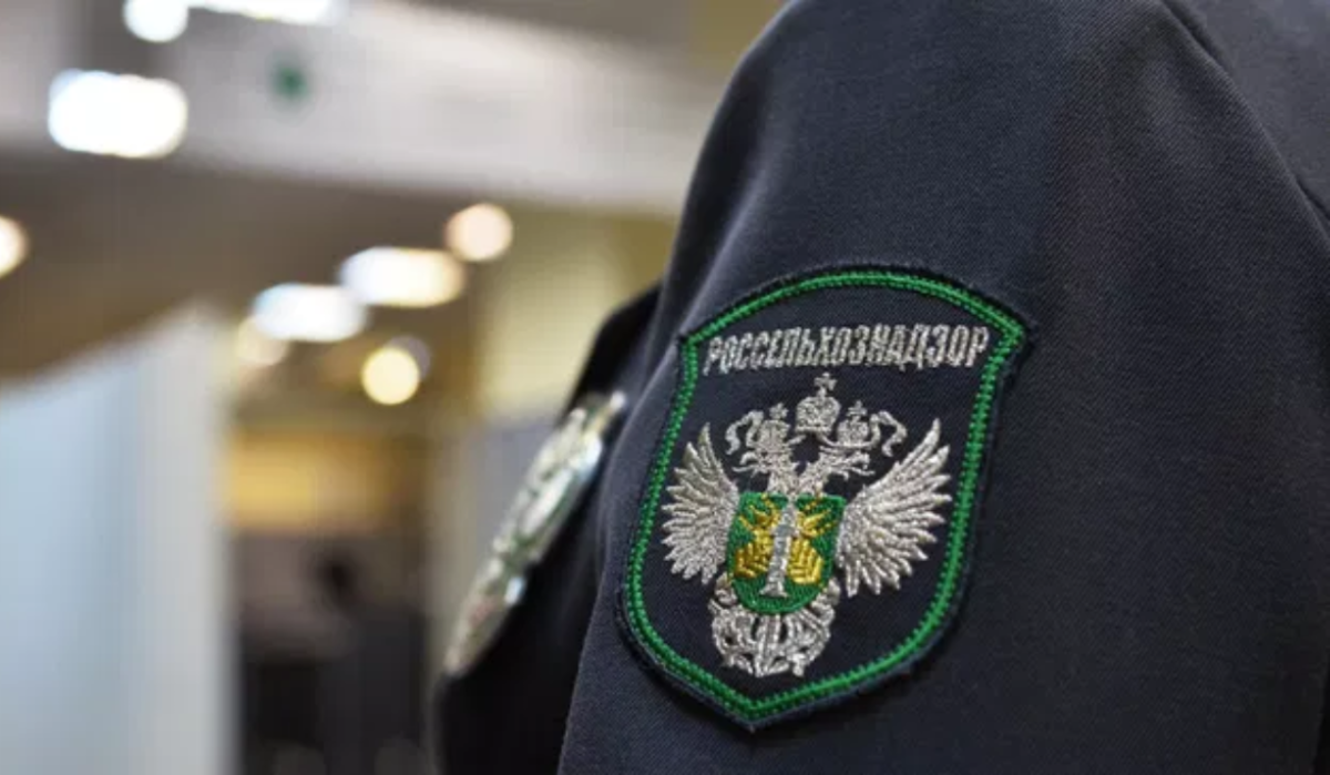 Россельхознадзор утилизирует партию вакцины, причастной к гибели собак