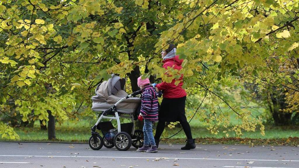 В России вырастут пособия по уходу за ребёнком