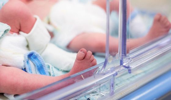 В Ленинградской области родилась первая в этом году тройня