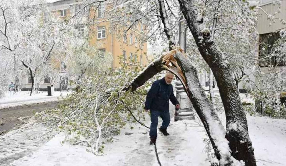 Высота снега в Москве достигла максимума за последние 55 лет