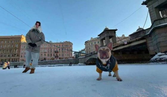 Снег и морозы придут в Петербург 20 февраля