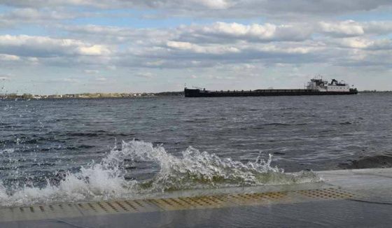 Причина смерти топ-менеджера Лойтера и двух рыбаков под Волгоградом установлена