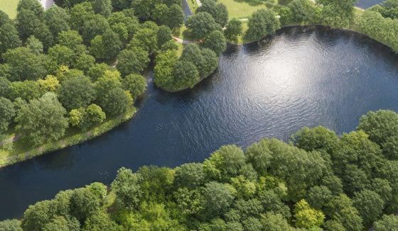 Началась реабилитация Щучьего пруда в московских Кузьминках
