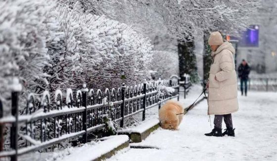 Леус сообщил о прогнозе погоды в Петербурге на 25 ноября